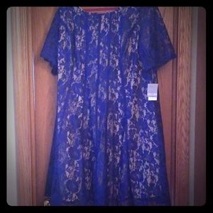 Royal and Nude Plus Size Dress